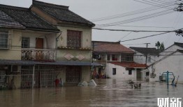 宁波洞桥镇最新爆料,揭秘神秘事件背后的真相