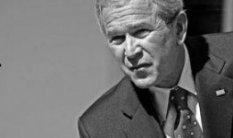 布什巴特斯最新爆料,揭秘事件背后惊人真相